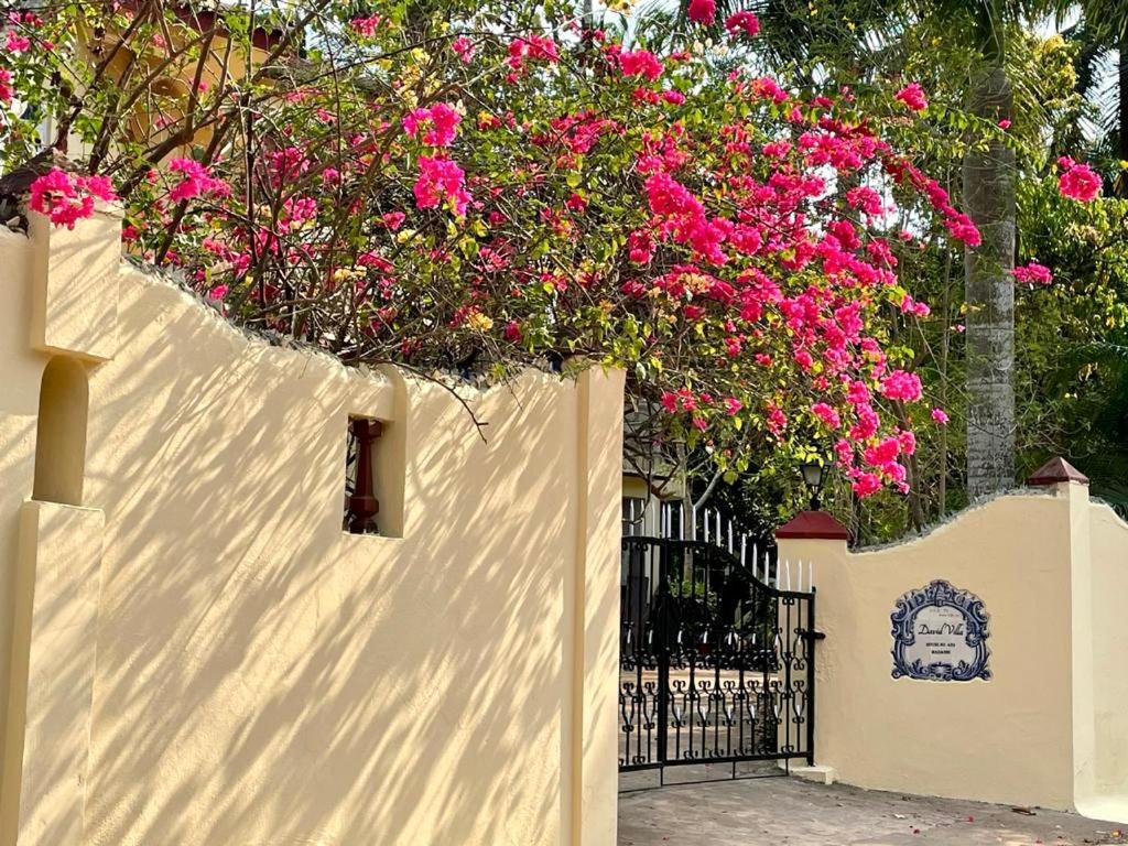 David Villa Nerul  Exterior photo